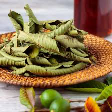 Guava Leaf