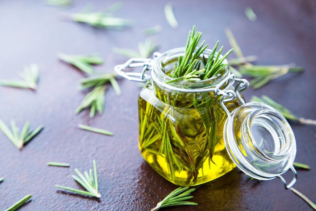 10 Benefits of Rosemary Oil